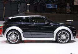 Hamann Evoque