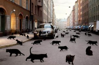 Пятница 13-е