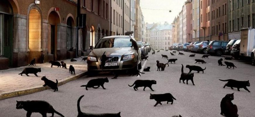 Пятница 13-е