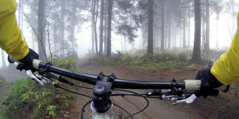 Велосипедист в лесу