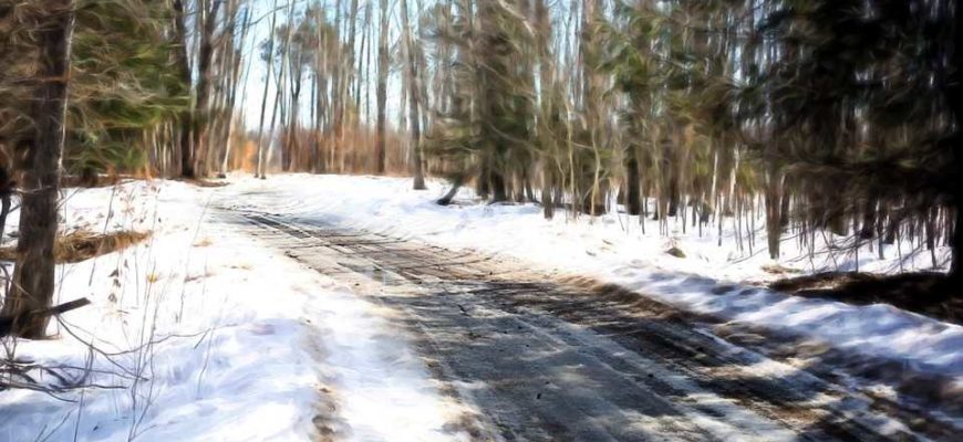 Зимняя дорога