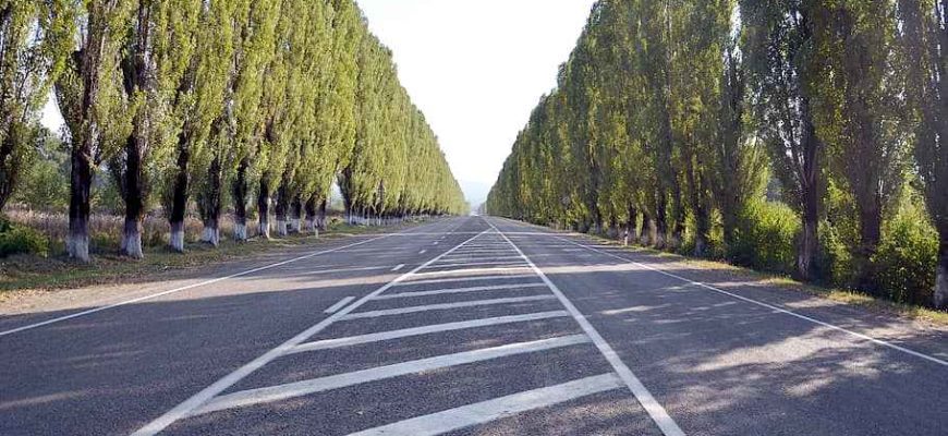 Дорога, разметка, островок безопасности