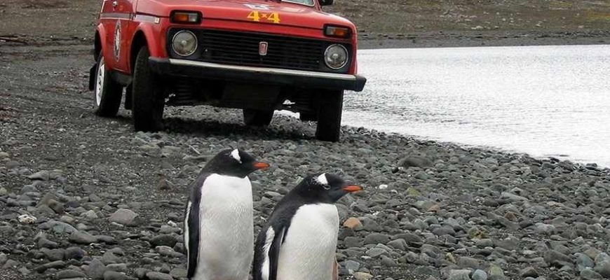 1977 ВАЗ-2121 Нива