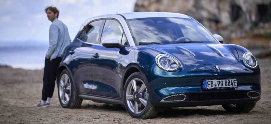 2021 Ora 03 (Funky Cat)